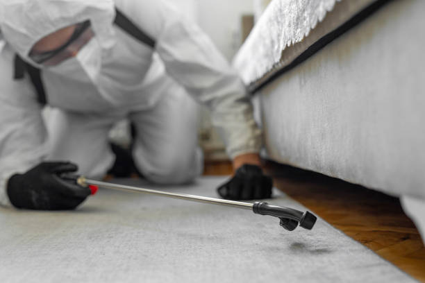 Professional Bed Bug Control technician working in Pipestone County County, MN
